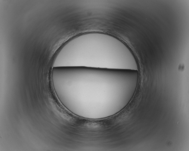 X0000115650299200911101546
