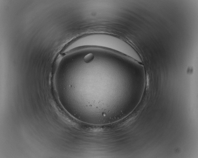X0000115650301200911101546