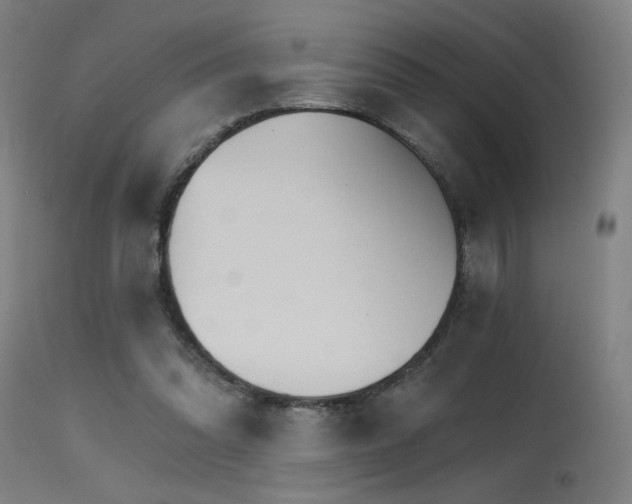 X0000115650302200911101546