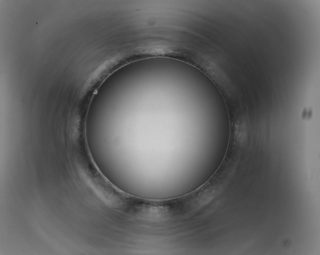 X0000115650304200911101546