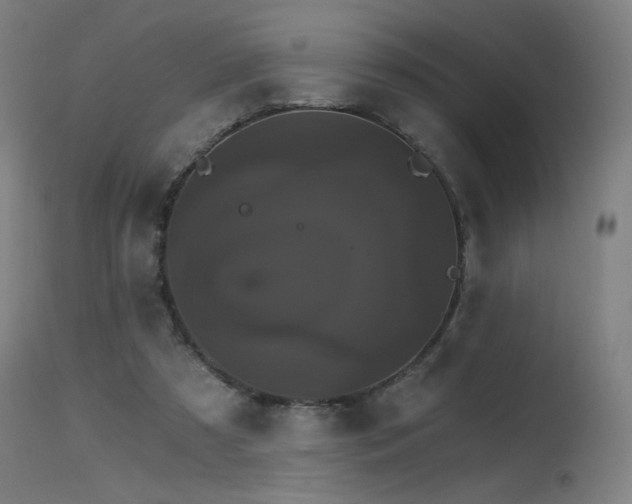 X0000115650305200911101546
