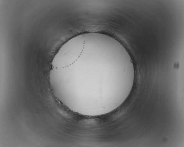 X0000115650307200911101546