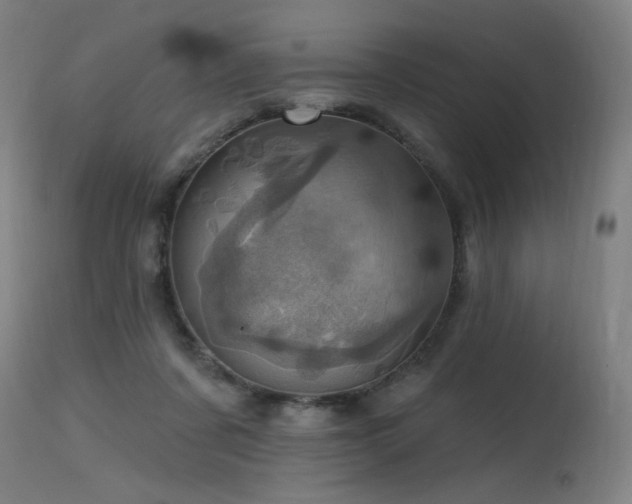 X0000115650311200911101546