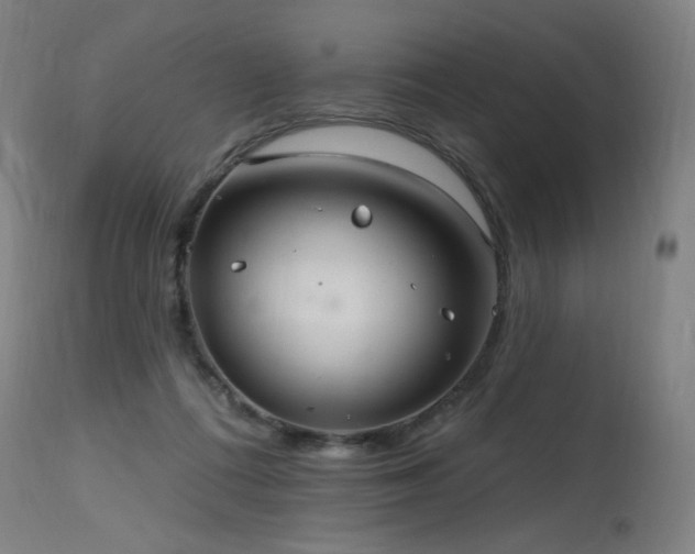 X0000115650312200911101546