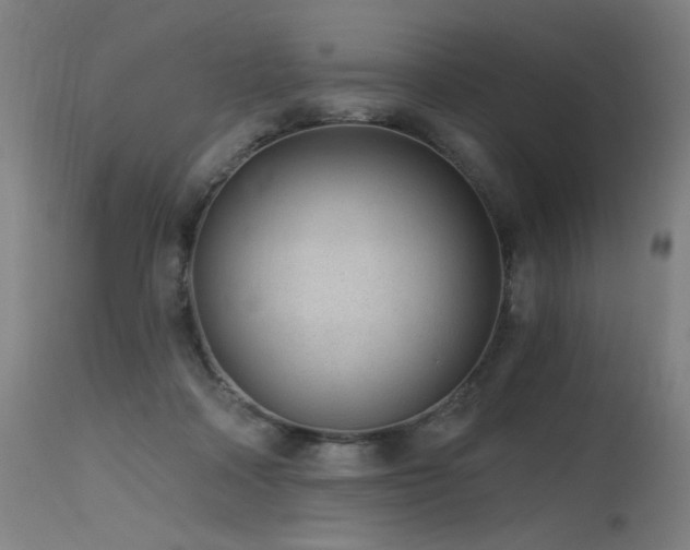 X0000115650314200911101545