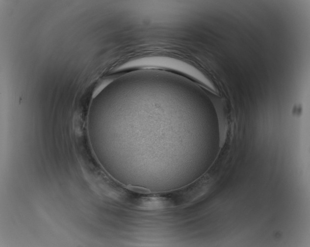 X0000115650316200911101545