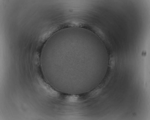 X0000115650318200911101545