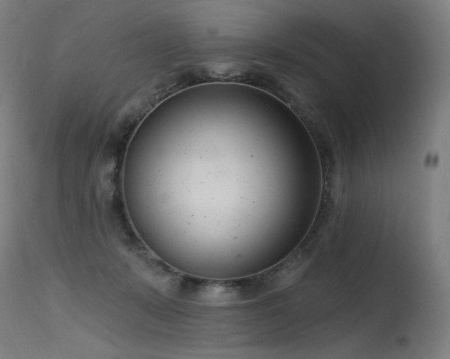 X0000115650319200911101545