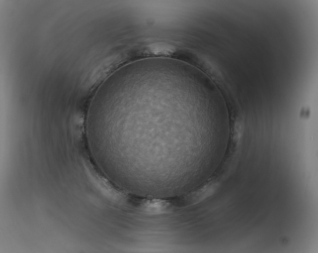 X0000115650321200911101545