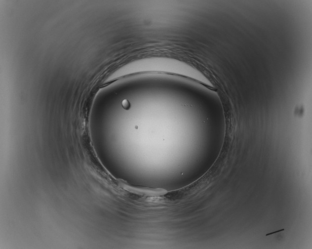 X0000115650324200911101545