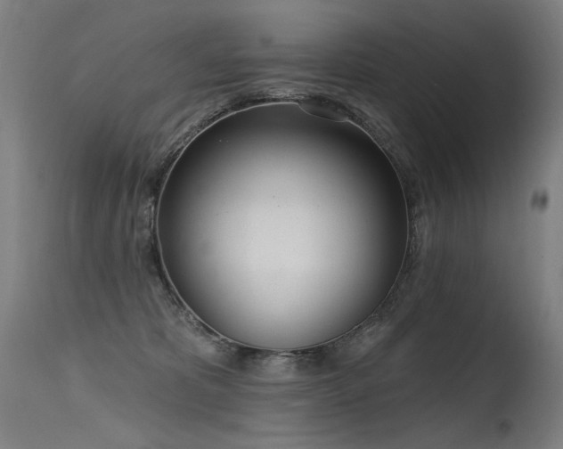 X0000115650325200911101545