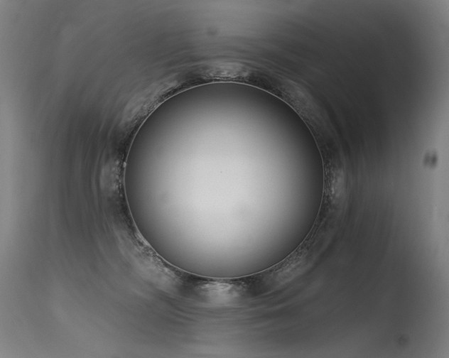 X0000115650326200911101545
