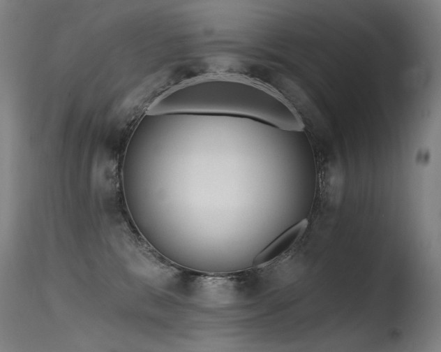 X0000115650327200911101545