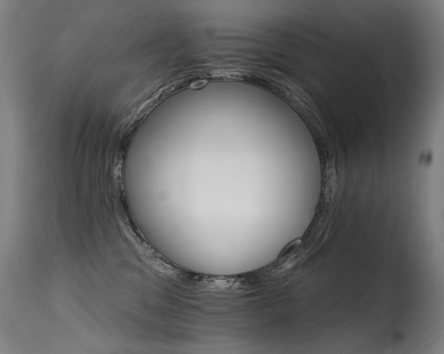 X0000115650329200911101545