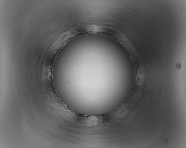 X0000115650330200911101545