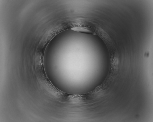 X0000115650331200911101545