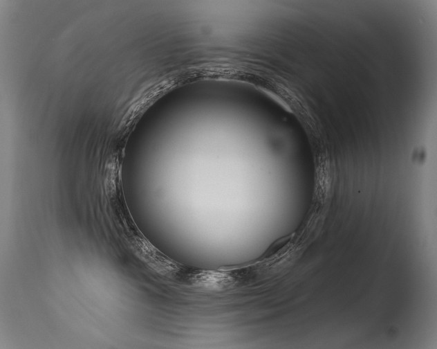 X0000115650333200911101545