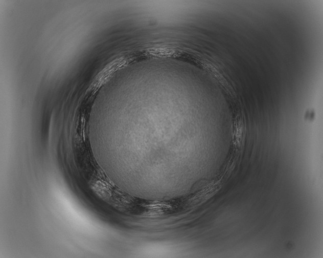 X0000115650334200911101545