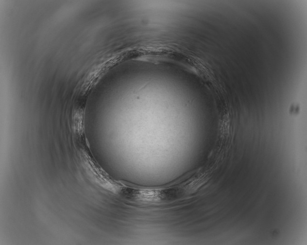 X0000115650335200911101545