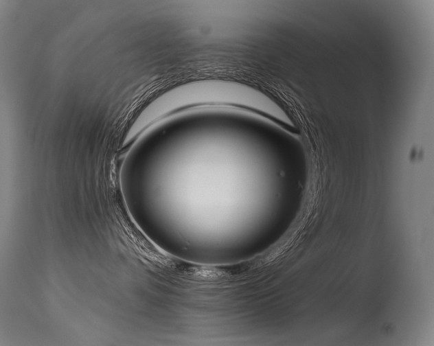X0000115650336200911101545