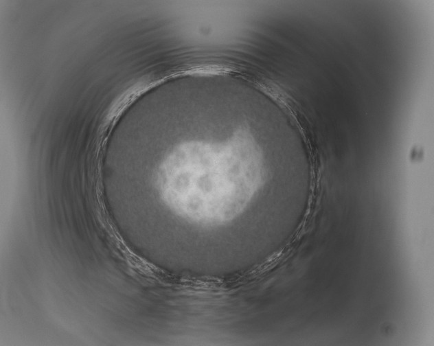 X0000115650337200911101545