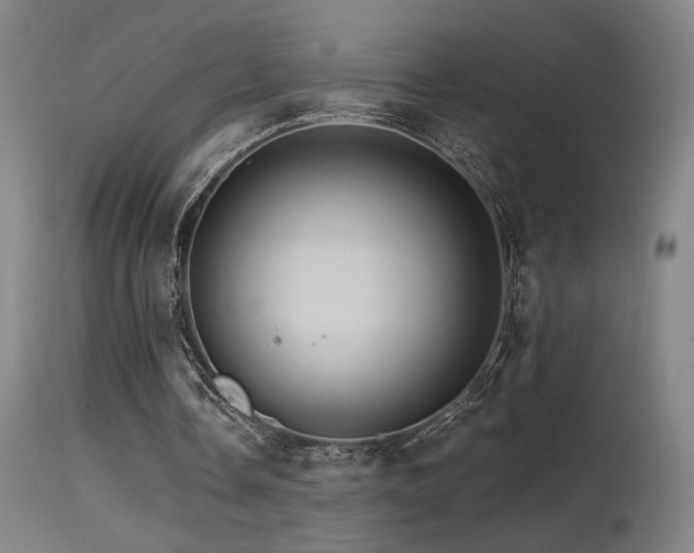 X0000115650338200911101545