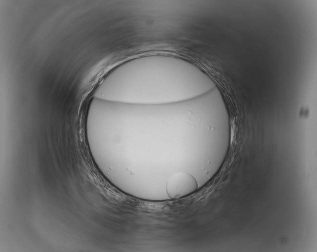 X0000115650339200911101545