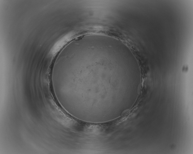 X0000115650341200911101545