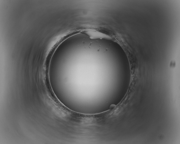 X0000115650342200911101545