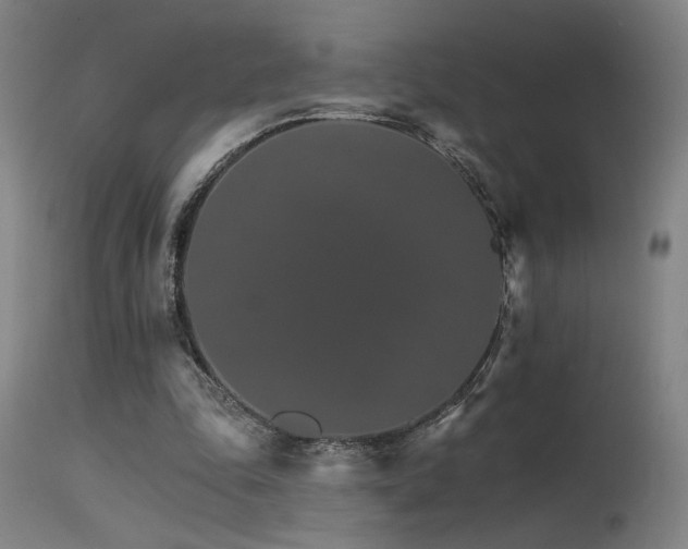 X0000115650343200911101545