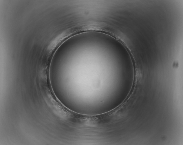X0000115650345200911101545