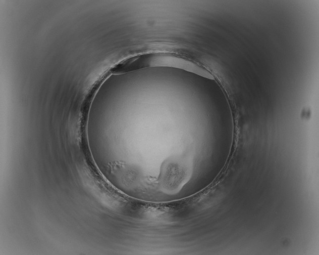 X0000115650346200911101545