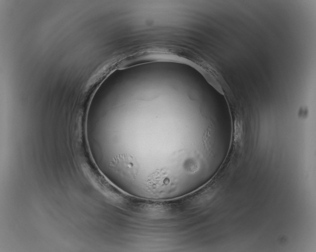 X0000115650349200911101545