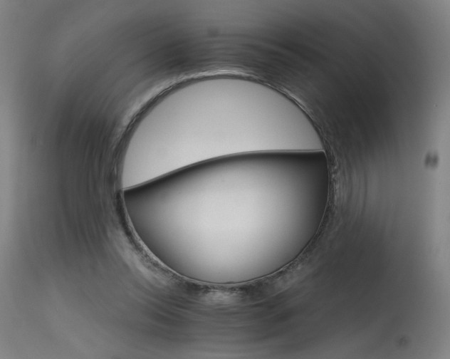 X0000115650350200911101545