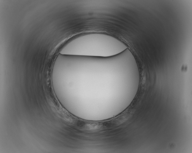 X0000115650351200911101545