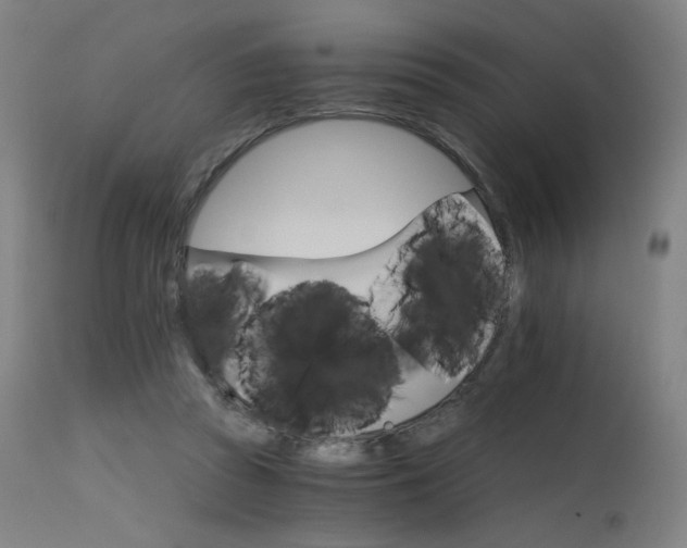 X0000115650353200911101545