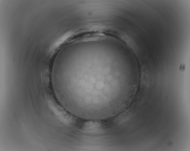 X0000115650354200911101545