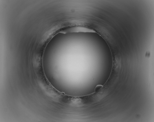 X0000115650355200911101545
