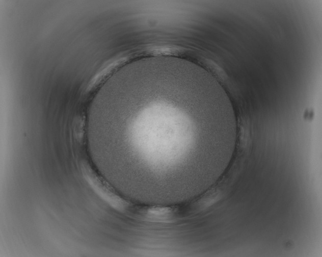 X0000115650357200911101545