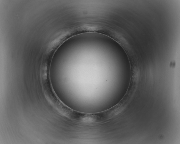 X0000115650358200911101545