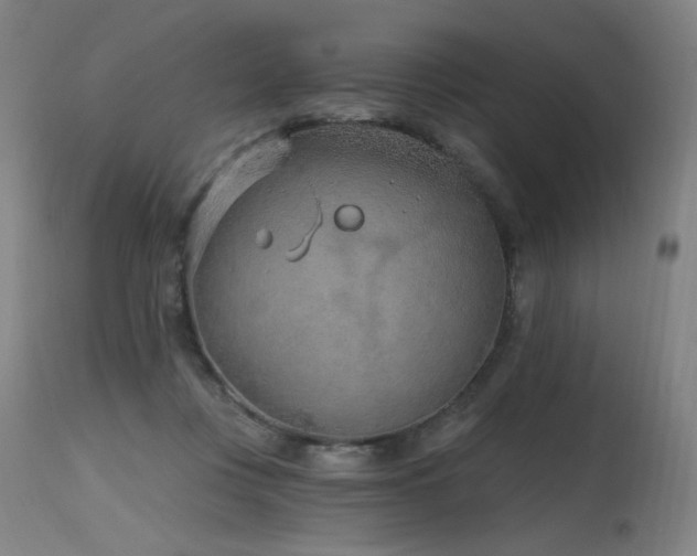 X0000115650359200911101545