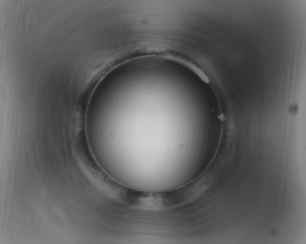 X0000115650362200911101545