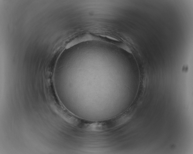 X0000115650366200911101545
