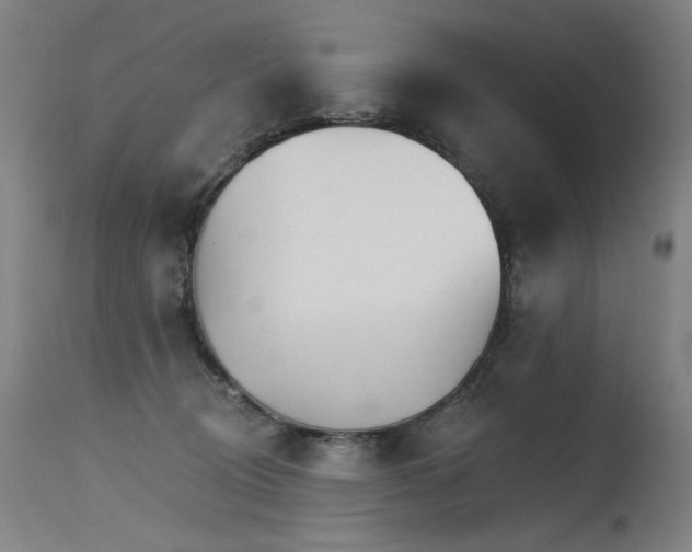 X0000115650370200911101545