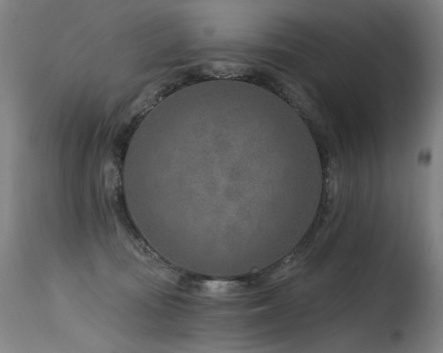 X0000115650371200911101545