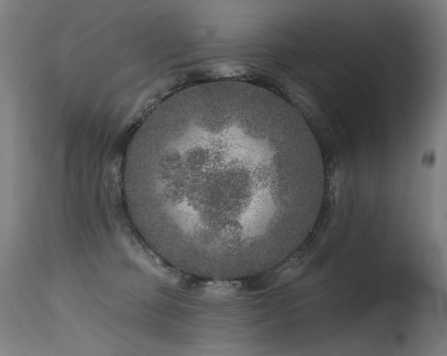 X0000115650373200911101545