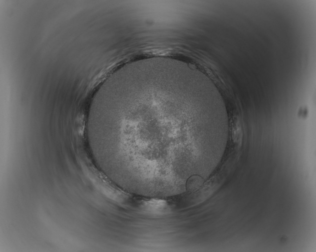 X0000115650374200911101545