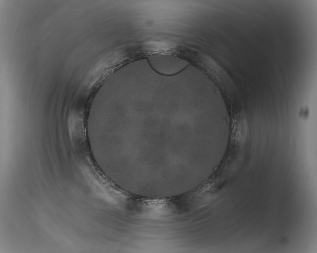 X0000115650377200911101545