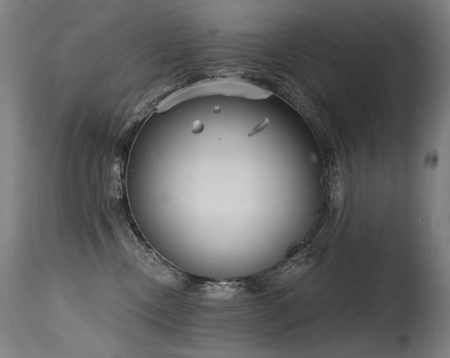 X0000115650378200911101545