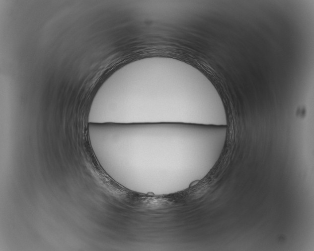 X0000115650379200911101545